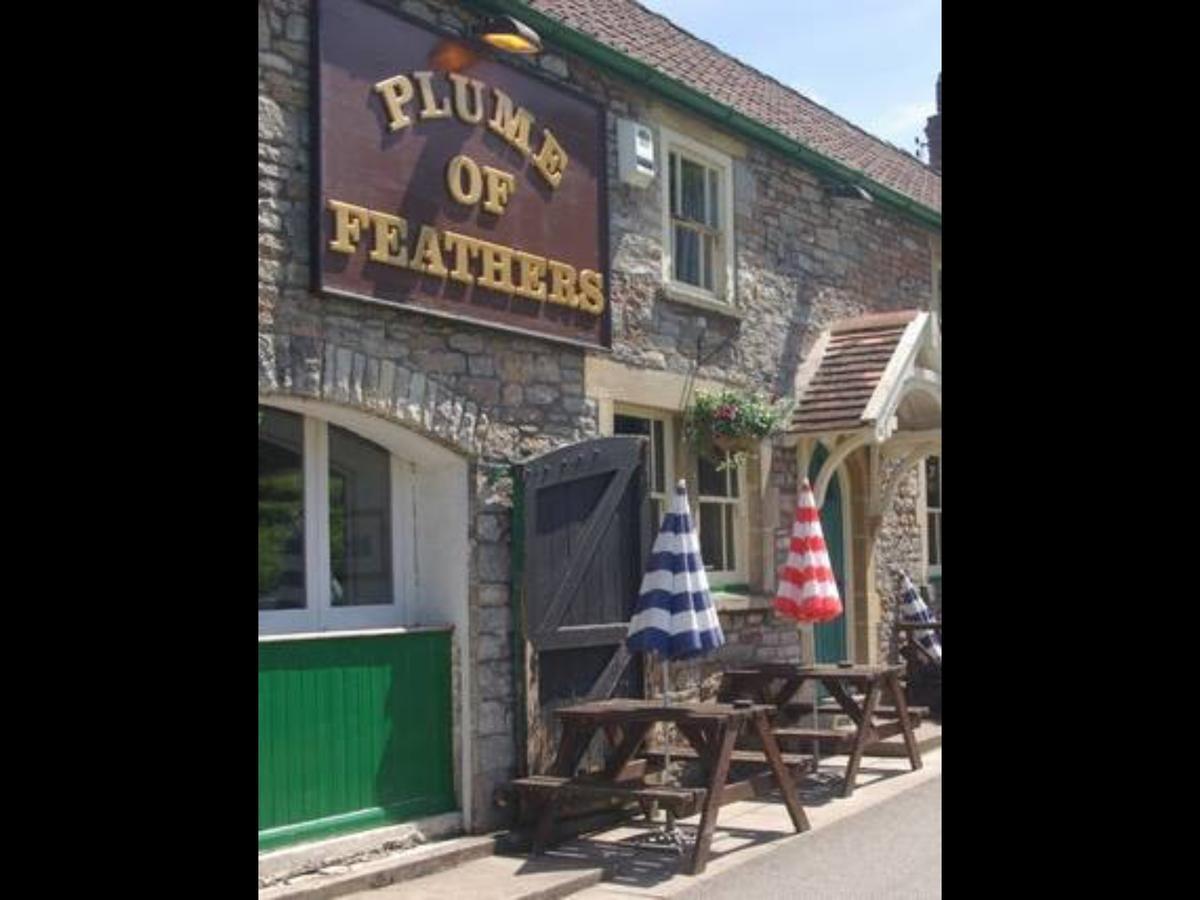 Plume Of Feathers Blagdon Kültér fotó